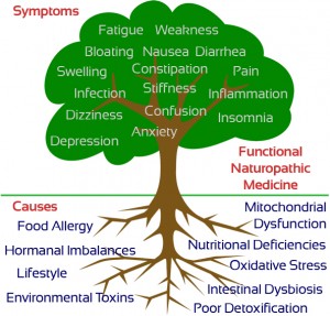 branches_and_roots-300x287