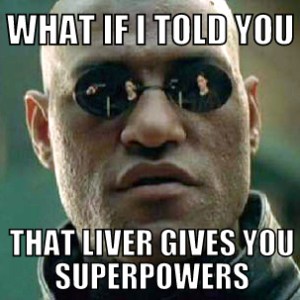 liver